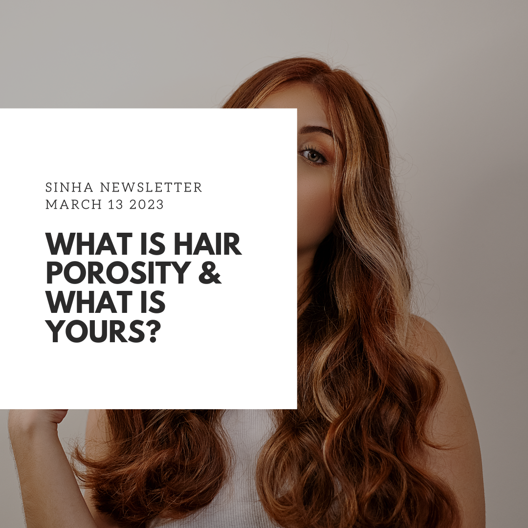 Hair Porosity Explained - What is Yours?