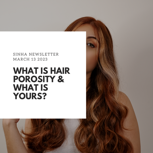 Hair Porosity Explained - What is Yours?