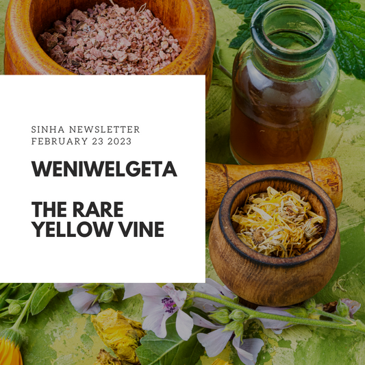 Weniwelgeta - The Ancient Rare Yellow Vine